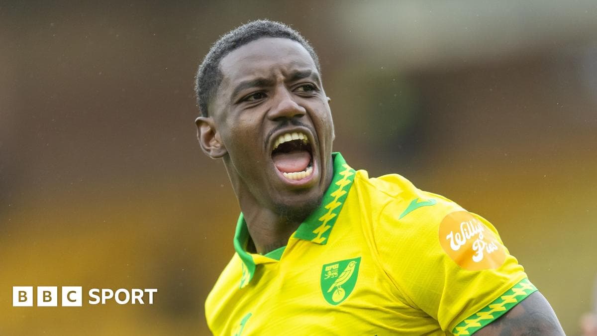 Norwich's Cordoba in Panama's World Cup squad