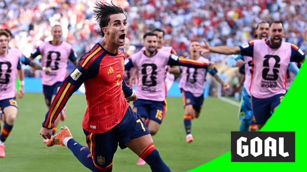 Spain's Torres scores only goal of World Cup final