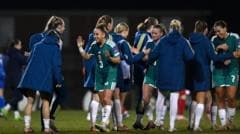 Fresh faces to managerial mayhem - NI's qualifying campaign