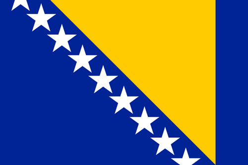 BIH flag
