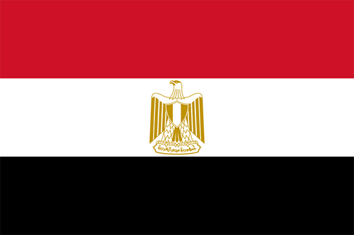 EGY flag