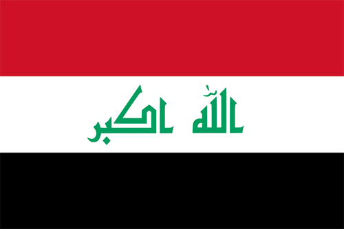 IRQ flag