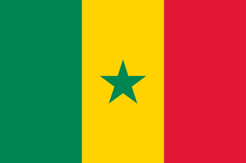 SEN flag