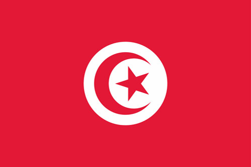 TUN flag